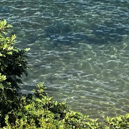 別荘 Pareti Di Mare 40 Mt Dalla *